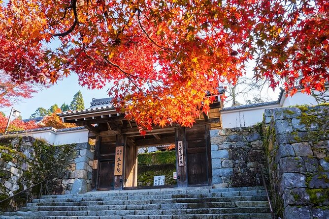 Arashiyama Autumn Leaves & Sanzen-In Temple Tour From Osaka/Kyoto - What to Expect on the Tour