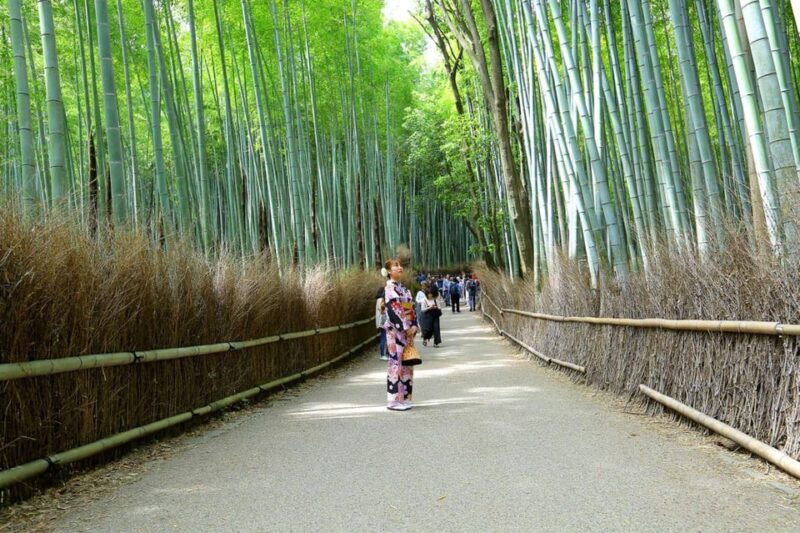 Arashiyama Highlights With Matcha Experience - Key Points