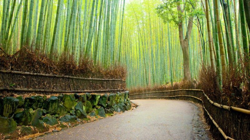 Arashiyama Highlights With Matcha Experience - Inclusions and Extras