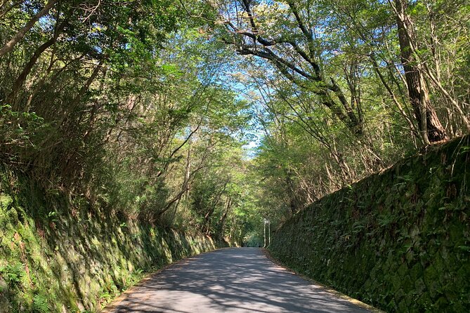 Arashiyama Kinkakuji Quiet Trail E-Bike Tour With Hotel Transfer - Health and Accessibility