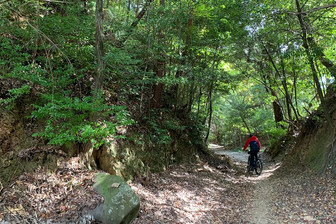 Arashiyama Kinkakuji Quiet Trail E-Bike Tour With Hotel Transfer - Explore Arashiyamas Scenic Trails