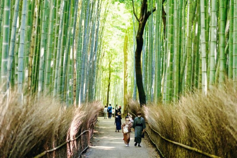 Arashiyama: Self-Guided Audio Tour Through History & Nature - Flexible Travel Plans