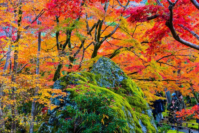 Arashiyama Walking Tour With Optional Sagano Romantic Train Ride - Explore the Bamboo Forest