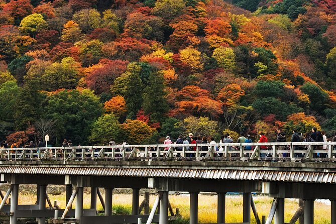 Arashiyama Walking Tour With Optional Sagano Romantic Train Ride - Reflections on the Arashiyama Walking Tour