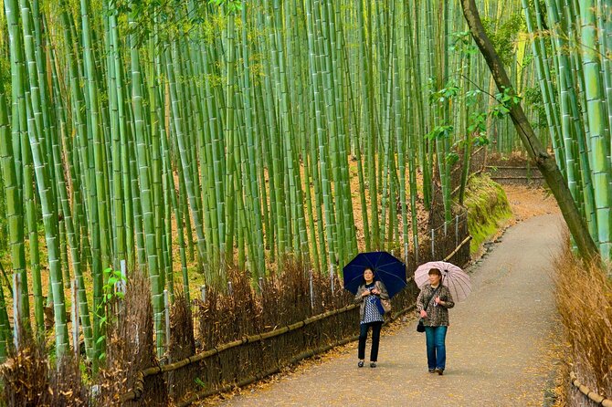 Arashiyama, Yasaka Shrine, Hanamikoji Todaiji Day Tour From Osaka - Hanamikoji Street: Exploring Geisha Culture