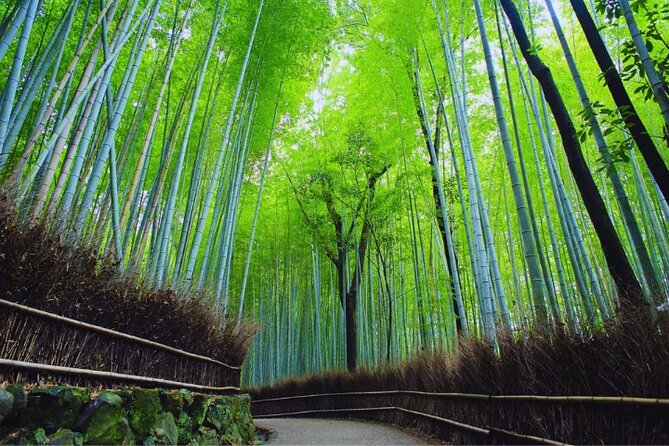 Arashiyama & Yasaka Shrine & Nara & Todaiji Day Trip From Osaka - Visiting Yasaka Shrine