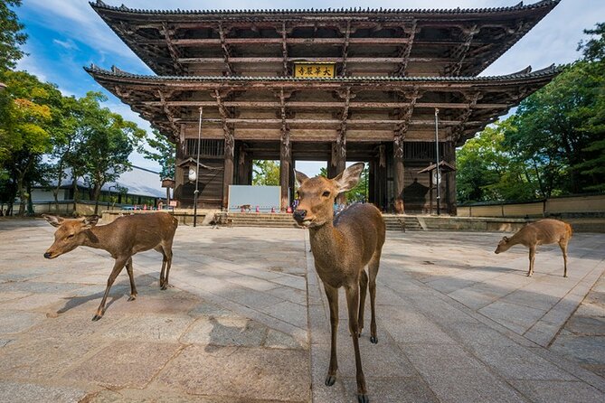 Arashiyama & Yasaka Shrine & Nara & Todaiji Day Trip From Osaka - Exploring Nara and Todaiji