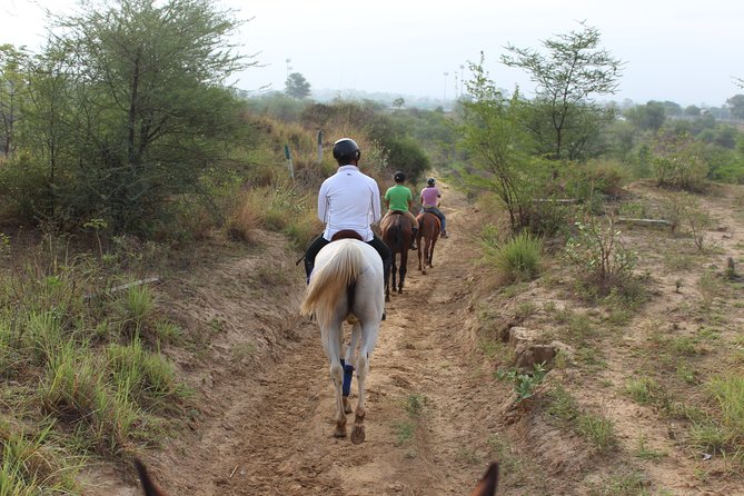 Aravali Trail Experience( Jungle Safari Forest Area)- Horseback Riding - Facilities and Amenities at Duke Horse Riding Club
