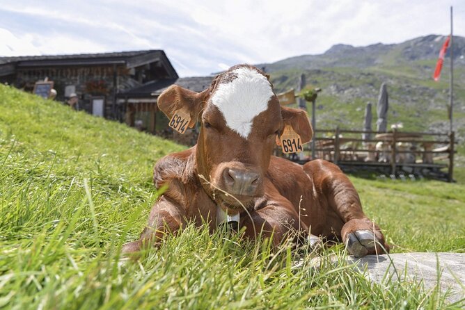Aravis Massif and Visit to Chamonix - Exploring the Aravis Massif