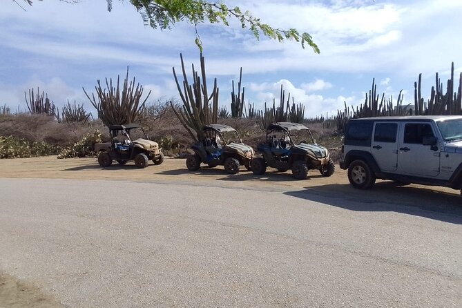 Arawak UTV Trail - Accessibility and Physical Requirements