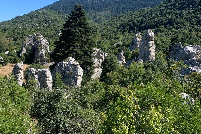 Arcadia Experience, Nature, People and Culture - Questions and Assistance