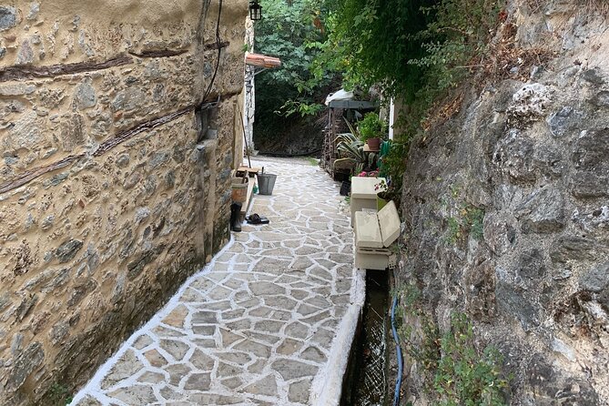 Arcadia Experience, Nature, People and Culture - Verified Customer Reviews