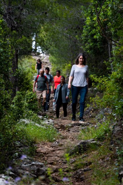 Arcadia: Experience Nature, People and Culture. Day Trip - Pricing and Booking
