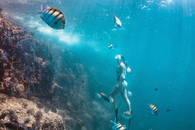Arch Boat Tour and Snorkeling at Pelican Rock - Safety and Equipment Rental