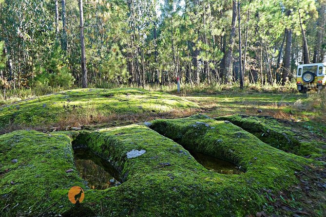 Archaeological Circuit of Fiais/Azenha and Cova Da Moira - Guided Exploration