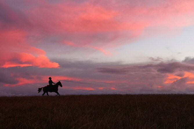 Archaeological Horseback Riding off the Tourist Routes in Rapa Nui - Preparing for the Adventure