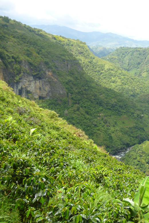 Archaeological Mountain Bike Tour to La Chaquira, Purutal,.. - Included and Excluded