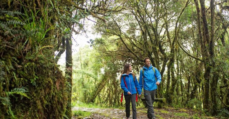 Archaeological Parks: Alto De Los Idolos & Piedras - Highlights