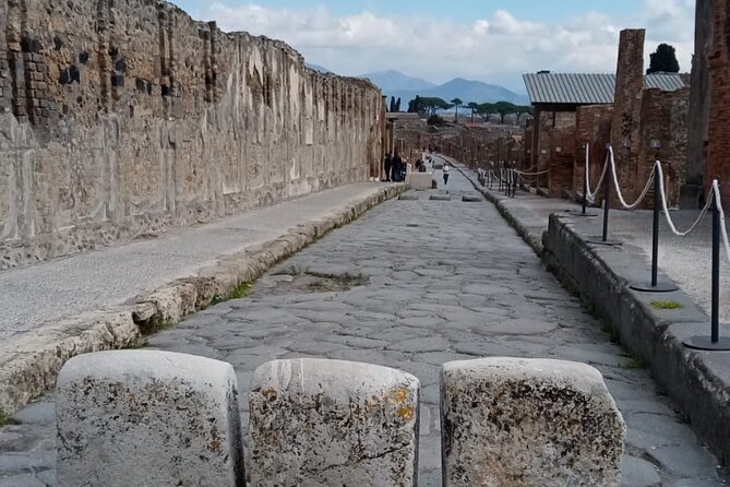 Archaeological Site of Pompeii and Mount Vesuvius - Reviews and Ratings