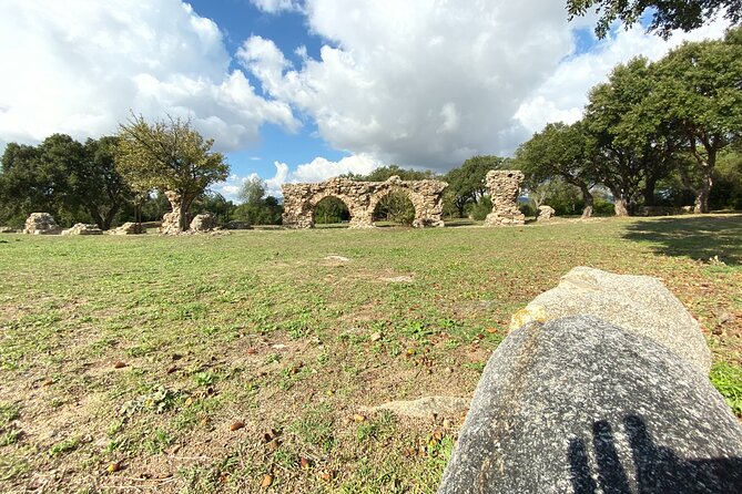 Archaeological Sites and Monuments in Sardinia: Small Group - Discovering the Roman Cistern