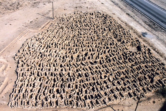 Archaeological Tour Bahrain - Transportation and Logistics