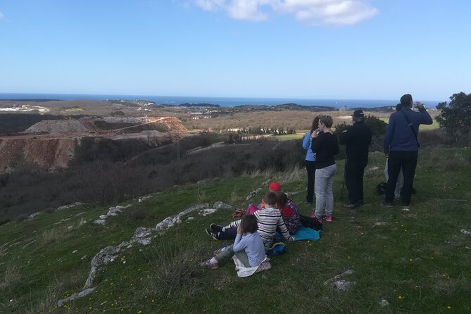 Archaeological Tour Near Poreč - Accessibility and Participation