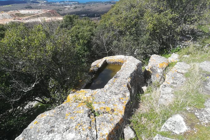 Archaeological Tour Near Poreč - Pricing and Payment
