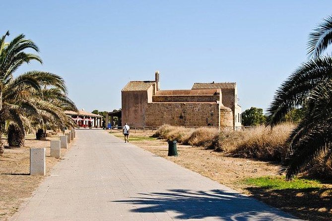 Archaeological Tour of Nora - Site Highlights