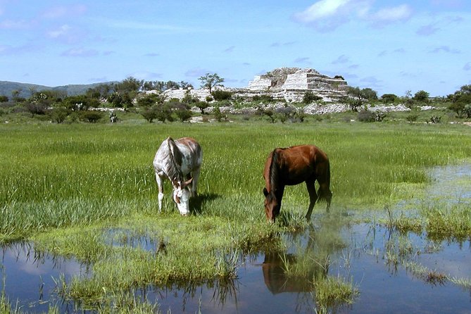 Archaeologist-Led Cañada De La Virgen Pyramid Tour - Physical Fitness Level Required