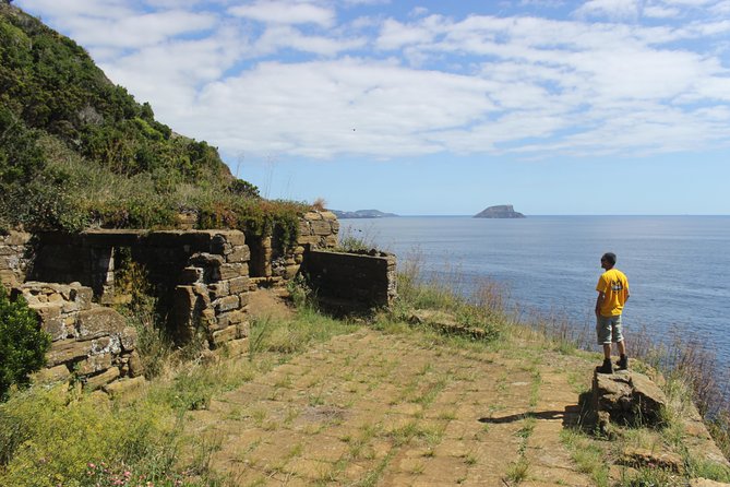 ARCHEOLOGY TOUR (Full Day Private Tour) - Positive Guest Reviews