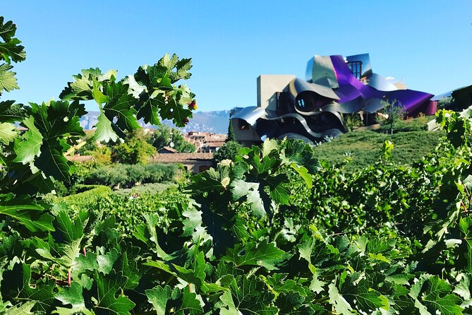 Architectural Rioja Small Group Wine Tour With Lunch From Bilbao - Tour Start Time and Group Size