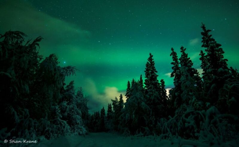 Arctic Adventure: Northern Lights Hunting With Snowmobiles - Tour Inclusions and Requirements