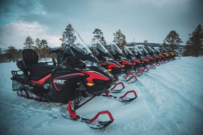 Arctic Adventure: Northern Lights Hunting With Snowmobiles - Snowmobile Safety and Guidelines