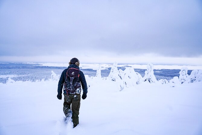 Arctic Adventure Through Magical Frozen Forests of Riisitunturi - Exploring the Frozen Forests of Riisitunturi