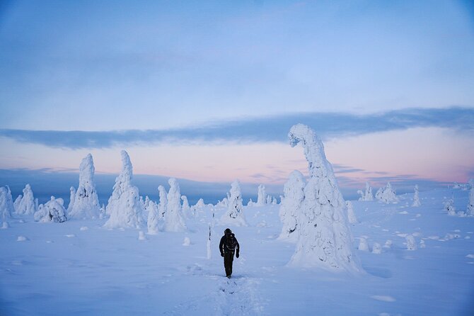 Arctic Adventure Through Magical Frozen Forests of Riisitunturi - Whats Included in the Experience