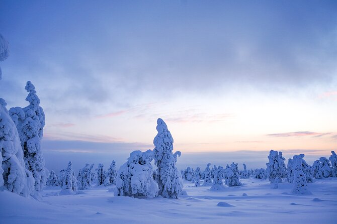Arctic Adventure Through Magical Frozen Forests of Riisitunturi - Meeting and Pickup Details