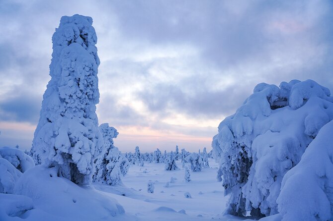 Arctic Adventure Through Magical Frozen Forests of Riisitunturi - Activity Itinerary and Duration