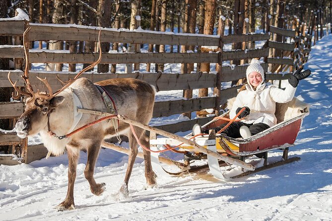 Arctic Animal Day Trip With Husky Farm, Reindeer Farm and Wildlife Park Visit - Transportation Details