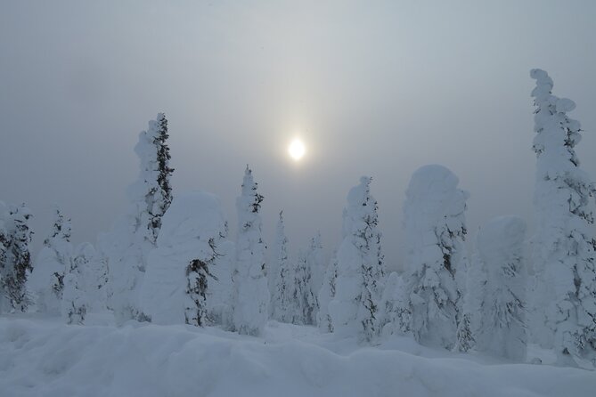 Arctic Circle Aurora Driving Adventure - Fairbanks: Gateway to the Arctic