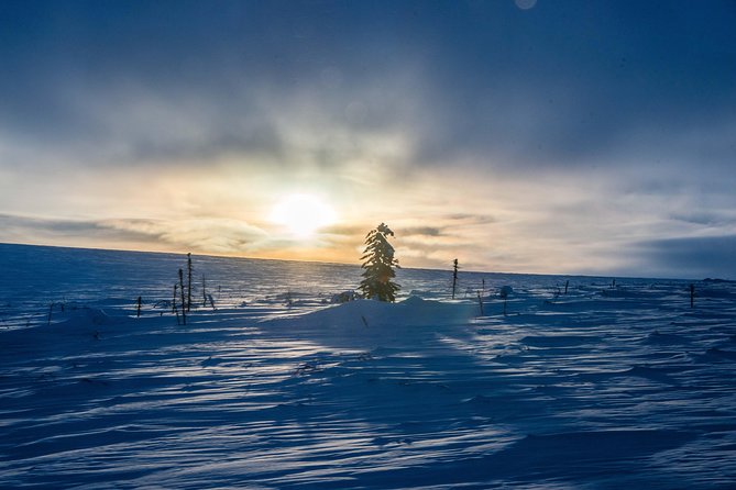 Arctic Circle Aurora Driving Adventure - Embracing the Frozen Tundra