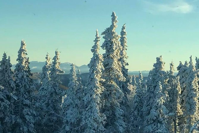 Arctic Circle Day Trip From Fairbanks With Transportation - Tour Experience