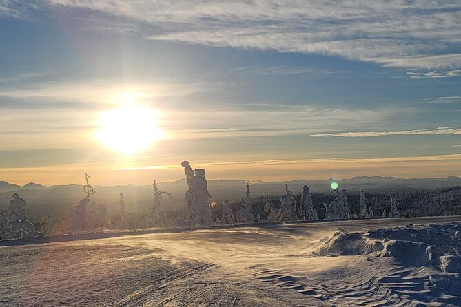 Arctic Circle Expedition From Fairbanks - What to Expect