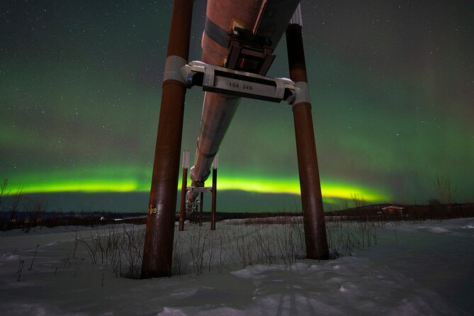 Arctic Circle Expedition From Fairbanks - Reaching the Arctic Circle