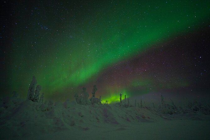 Arctic Circle Expedition From Fairbanks - Pricing and Cancellation