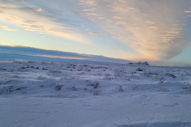Arctic Circle Expedition From Fairbanks - Customer Reviews