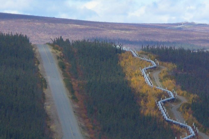 Arctic Circle Full-Day Adventure From Fairbanks - Trans-Alaska Pipeline Exploration