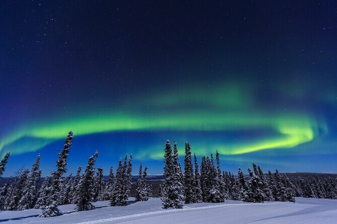 Arctic Circle Northern Lights Dalton Highway Winter Tour - The Sum Up