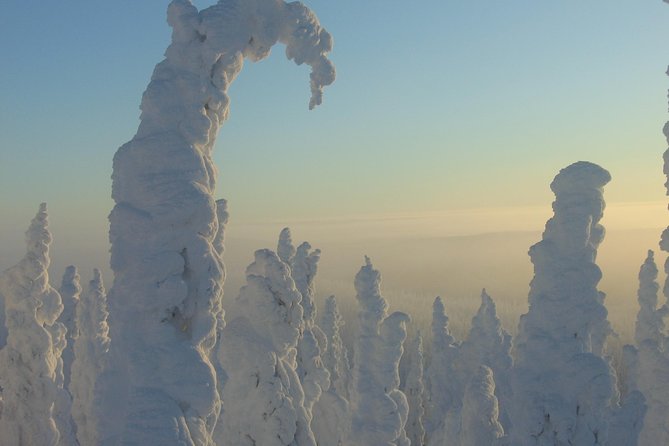 Arctic Circle Winter Drive Adventure - Inclusions and Meeting Details