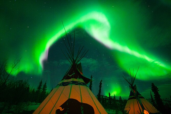Arctic Day: Aurora Viewing Tour | Late Night - Highlights