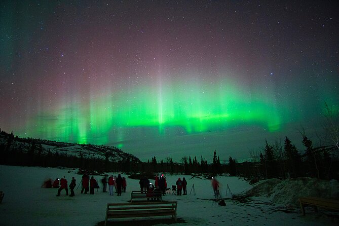 Arctic Day: Aurora Viewing Tour | Late Night - Additional Information